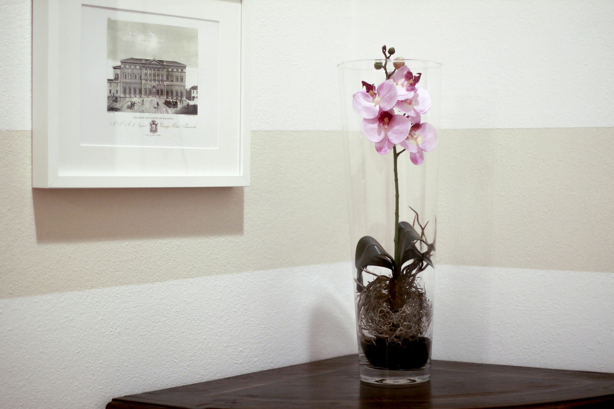 Casa Isolani Luxury Rooms Piazza Maggiore Bologna Buitenkant foto